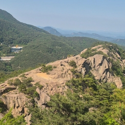 피드에 업로드 된 이미지