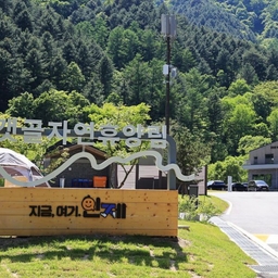 피드에 업로드 된 이미지