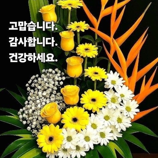 피드 이미지