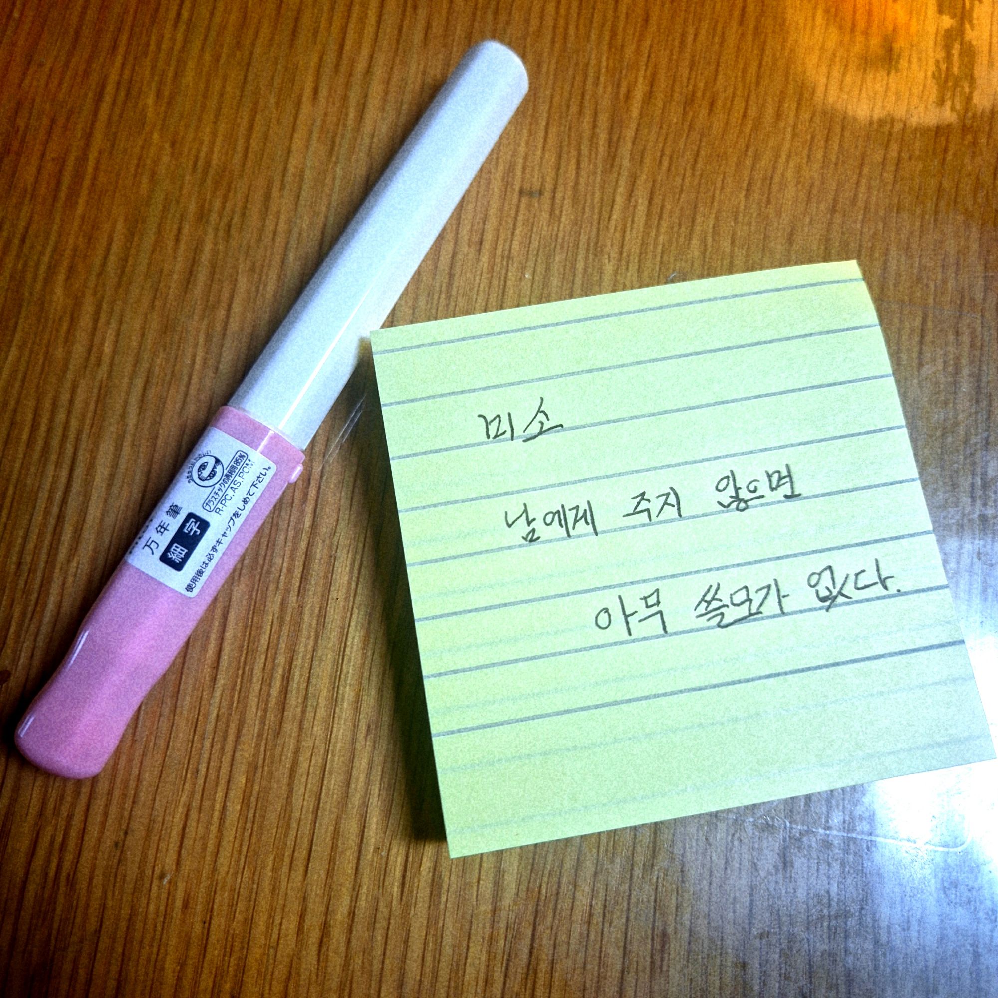 피드 이미지