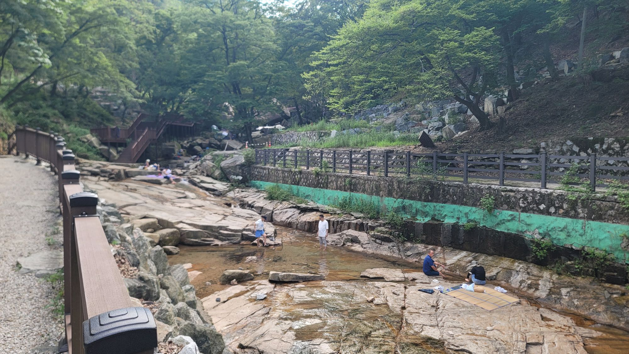 피드 이미지