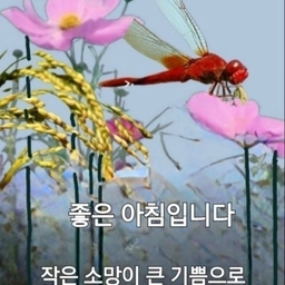 피드에 업로드 된 이미지