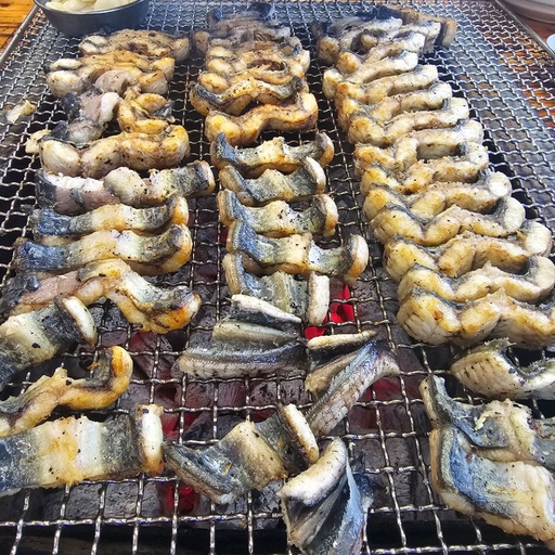 피드 이미지
