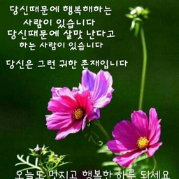 피드에 업로드 된 이미지