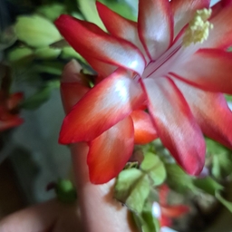 피드에 업로드 된 이미지