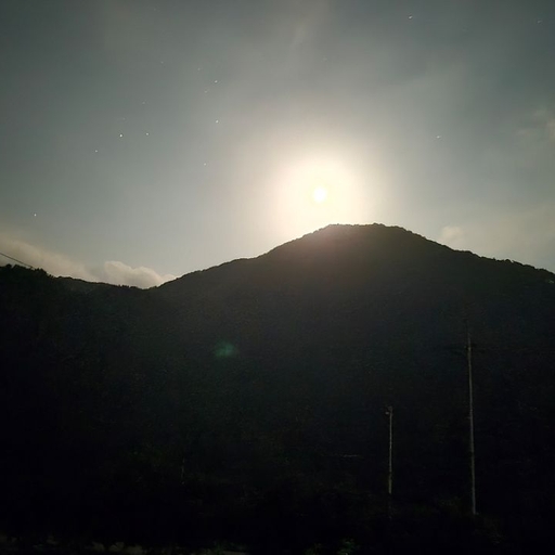 피드 이미지