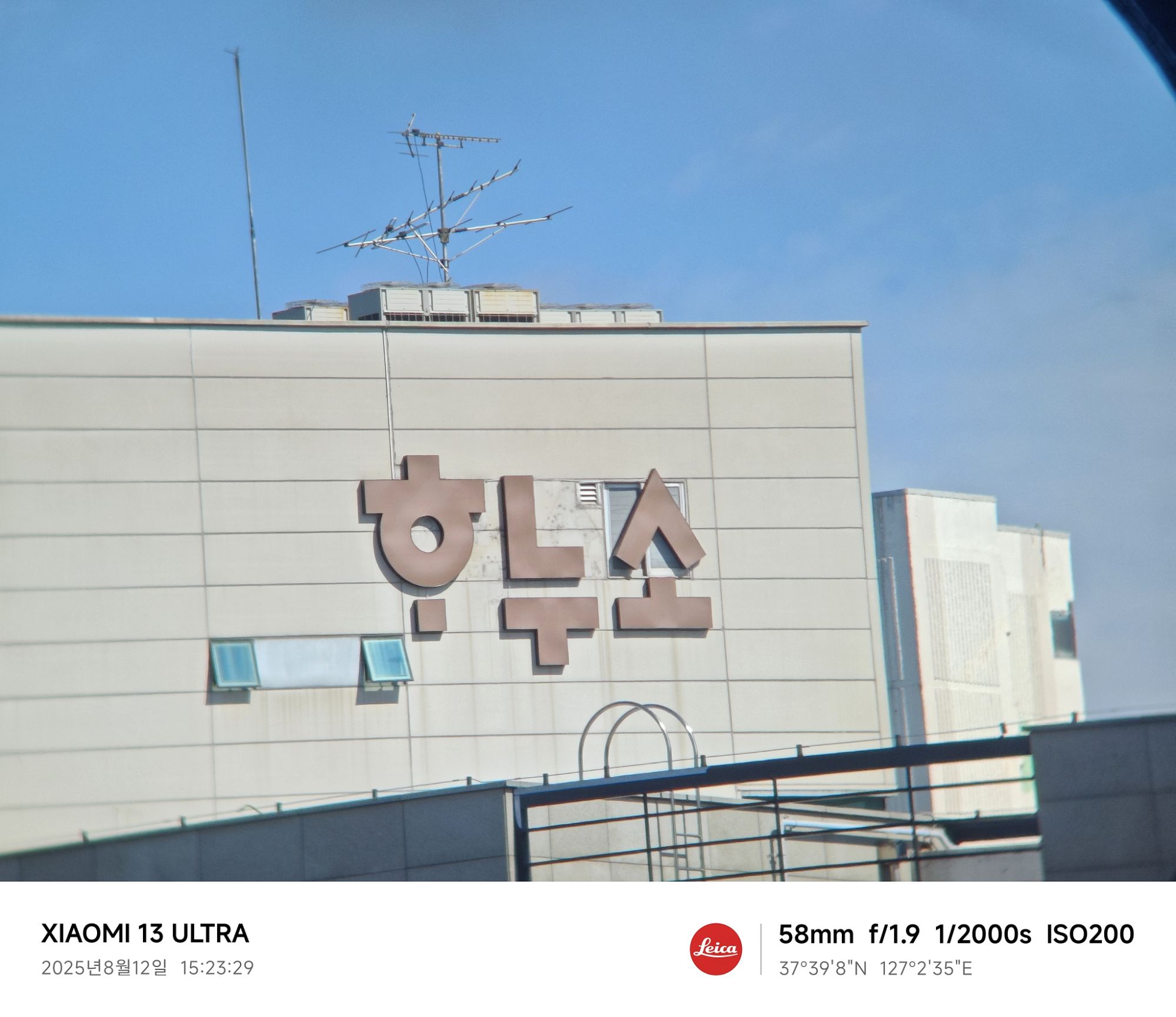 피드 이미지