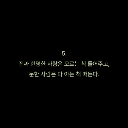 피드 이미지