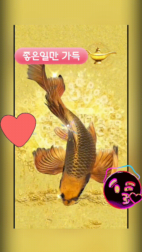 피드 이미지