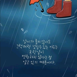 피드에 업로드 된 이미지