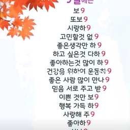 피드에 업로드 된 이미지