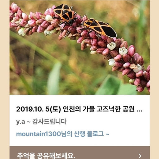피드 이미지