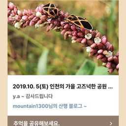 피드에 업로드 된 이미지