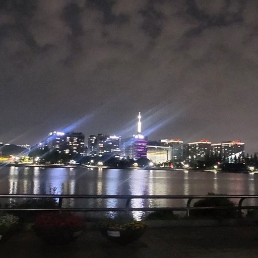 피드 이미지