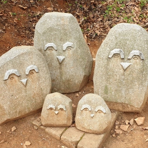 피드 이미지