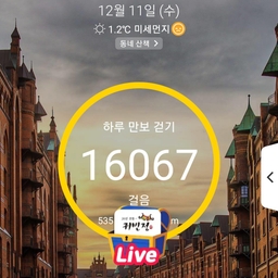 피드에 업로드 된 이미지