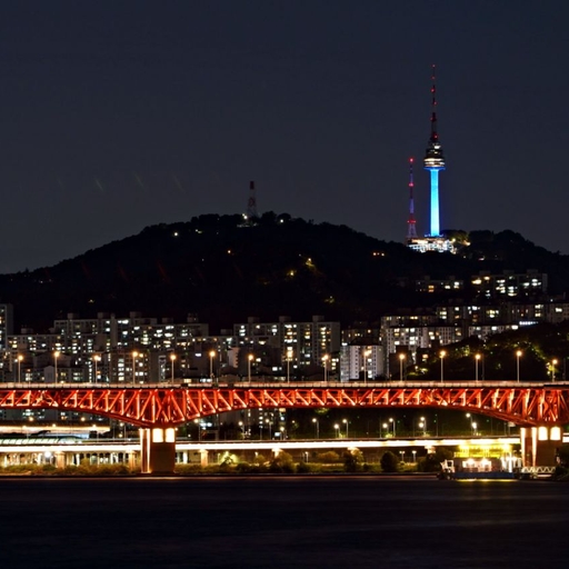 피드 이미지