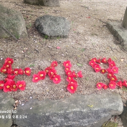 ๊ณต์ง์ฌํญ์ ์
๋ก๋ ๋ ์ด๋ฏธ์ง