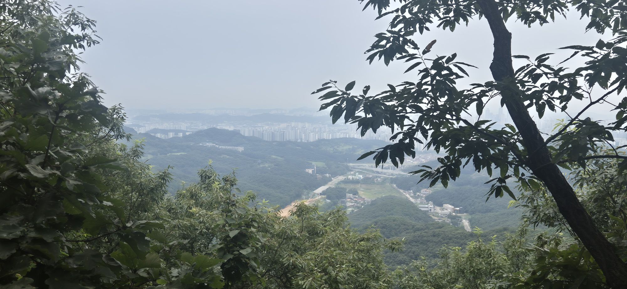 피드 이미지