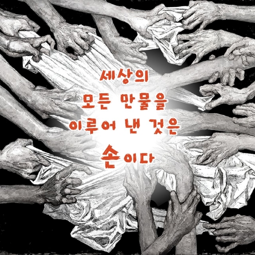 피드 이미지