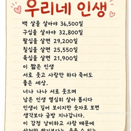 피드에 업로드 된 이미지