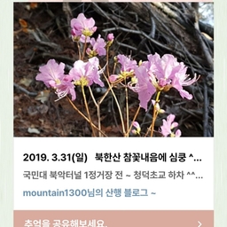 피드에 업로드 된 이미지