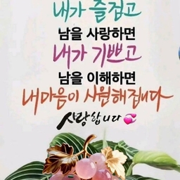 피드에 업로드 된 이미지