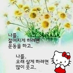 피드에 업로드 된 이미지