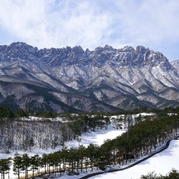 피드에 업로드 된 이미지