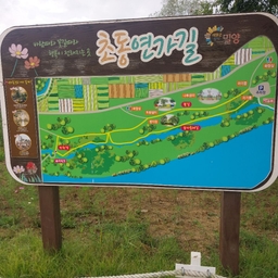 피드에 업로드 된 이미지