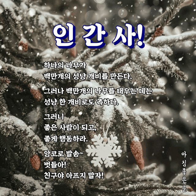 피드에 업로드 된 이미지