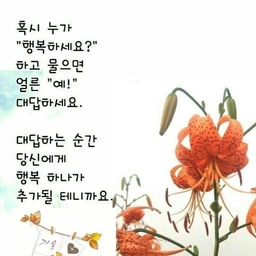 피드에 업로드 된 이미지
