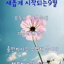 피드에 업로드 된 이미지