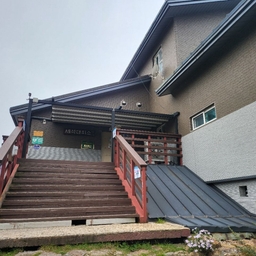 피드에 업로드 된 이미지