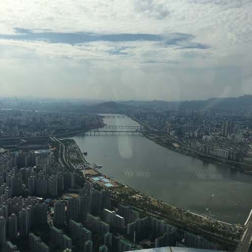 모임 대표 이미지