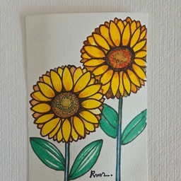 피드에 업로드 된 이미지