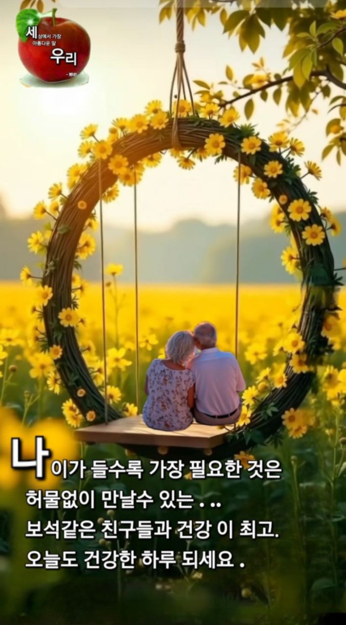 피드 이미지