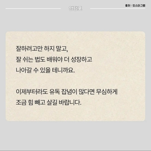 피드 이미지