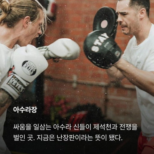 피드 이미지