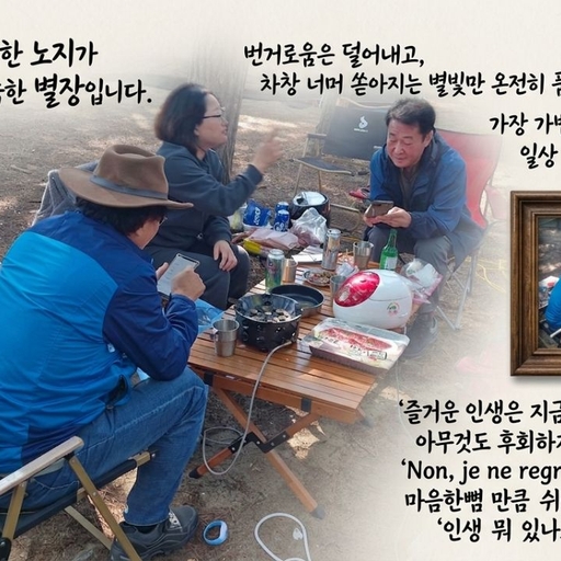 피드 이미지