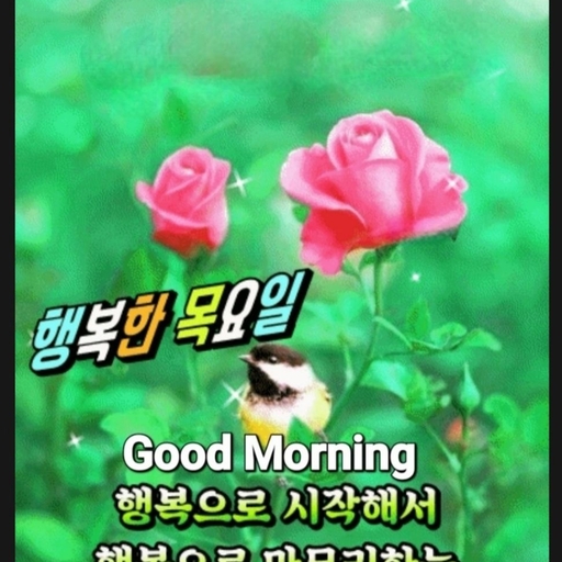 피드 이미지