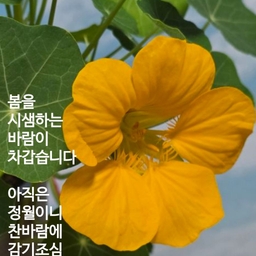 피드에 업로드 된 이미지