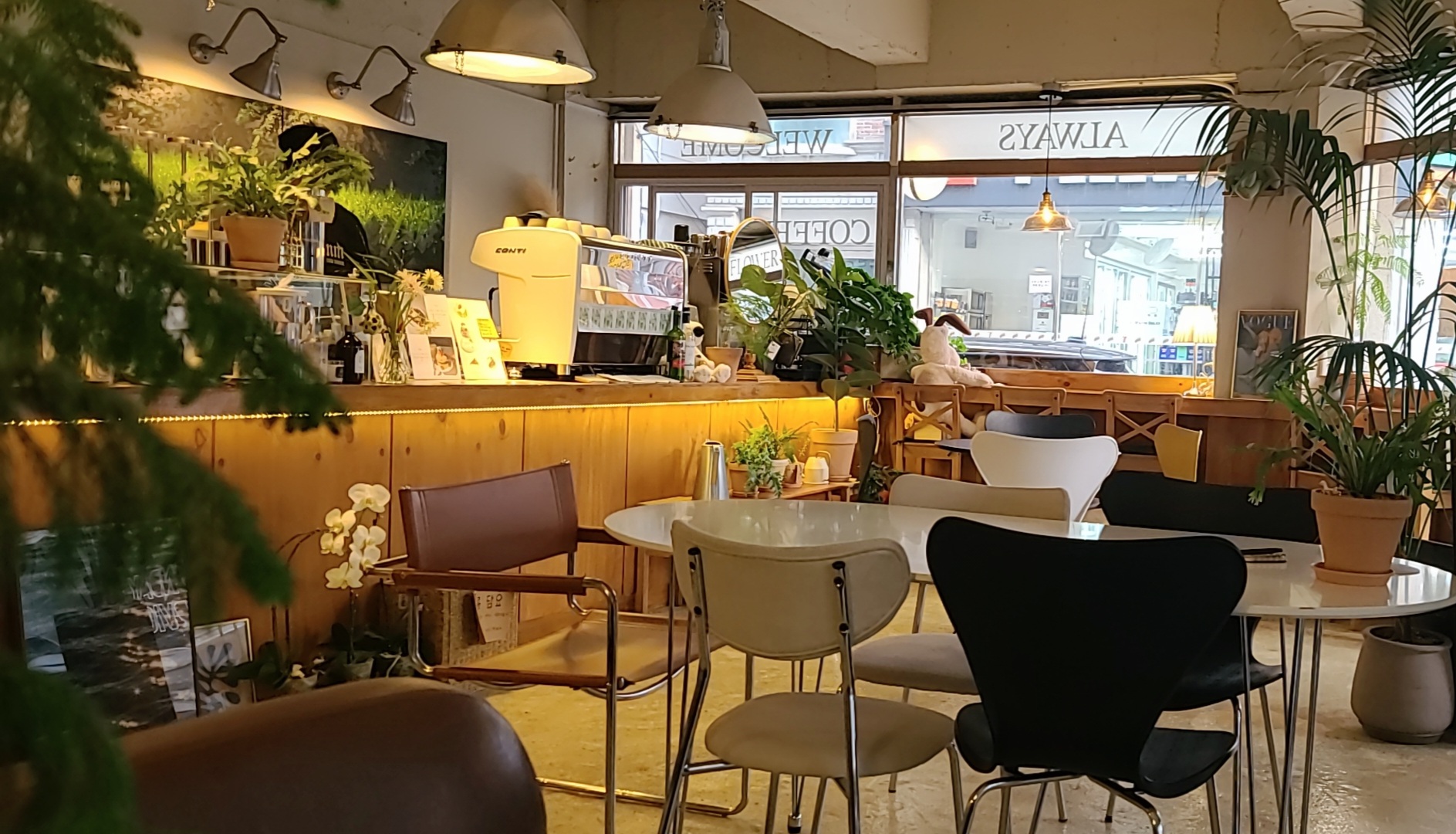피드에 업로드 된 이미지
