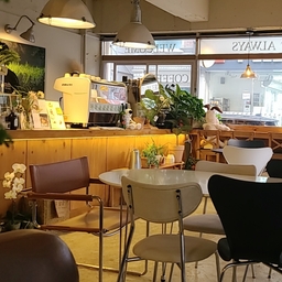 피드에 업로드 된 이미지