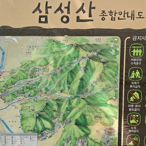 피드 이미지