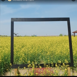 피드에 업로드 된 이미지