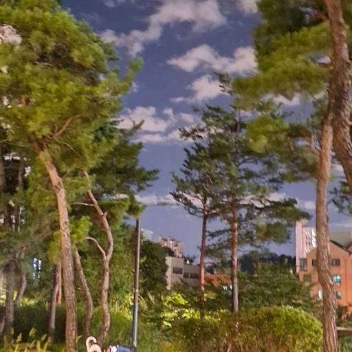 피드 이미지