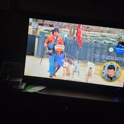 피드에 업로드 된 이미지