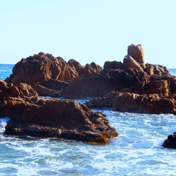 피드에 업로드 된 이미지