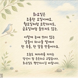 피드에 업로드 된 이미지
